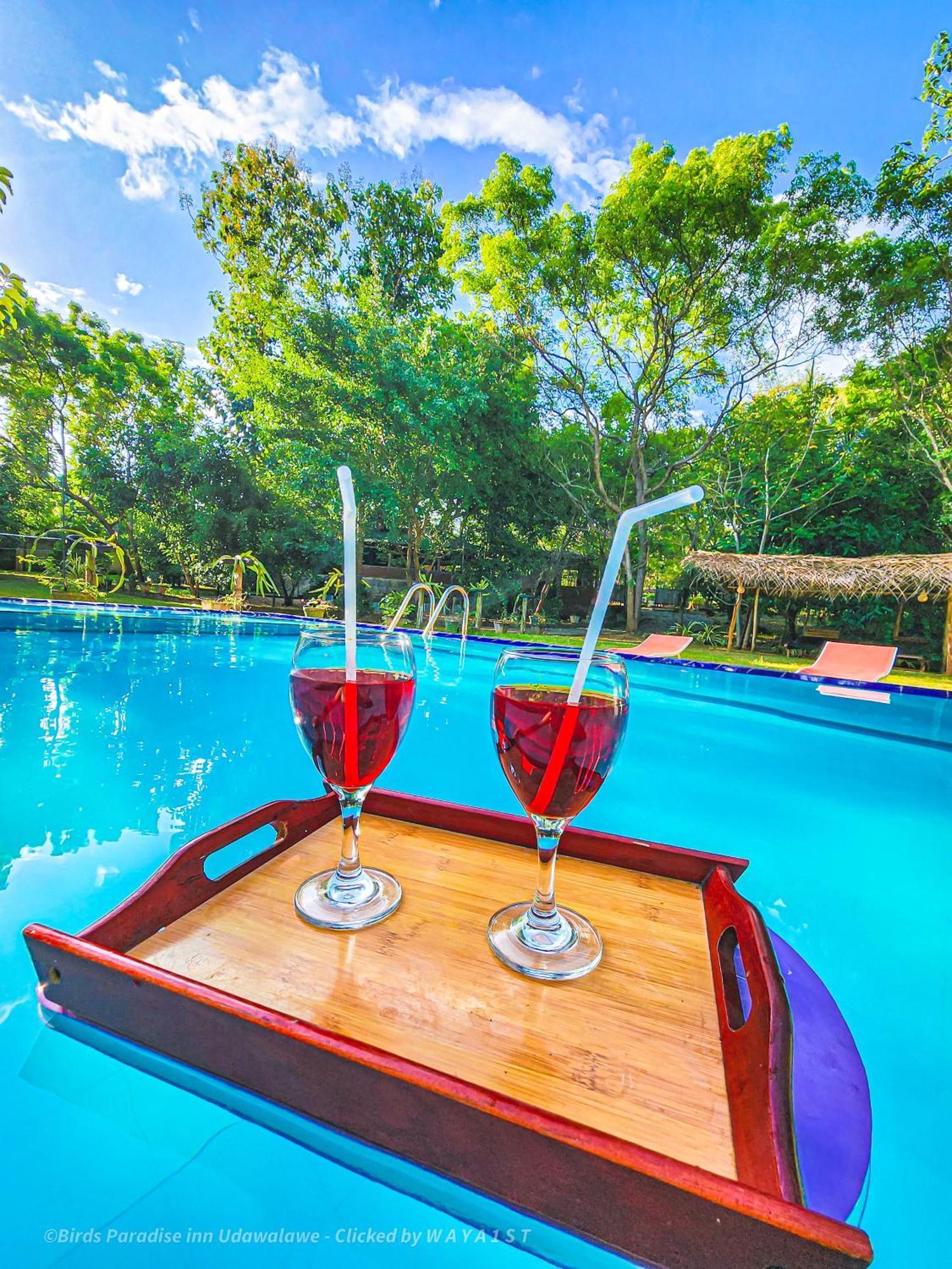 Birds Paradise Inn Udawalawe Bagian luar foto