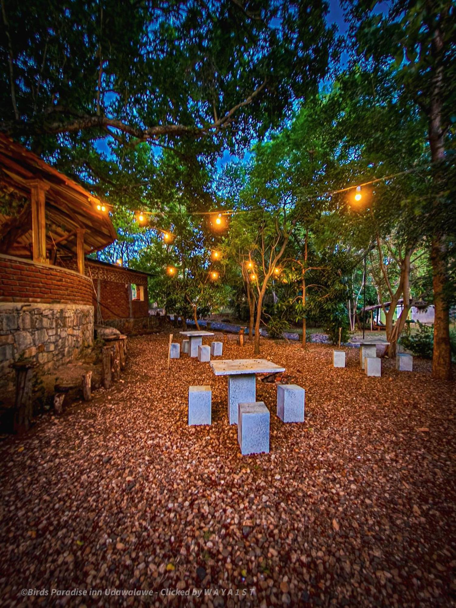 Birds Paradise Inn Udawalawe Bagian luar foto