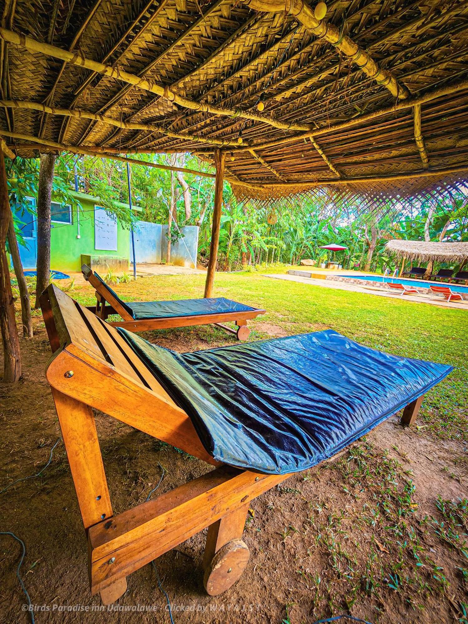Birds Paradise Inn Udawalawe Bagian luar foto