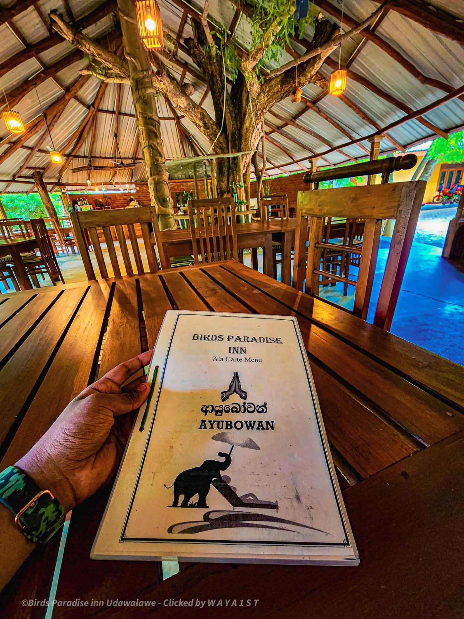 Birds Paradise Inn Udawalawe Bagian luar foto