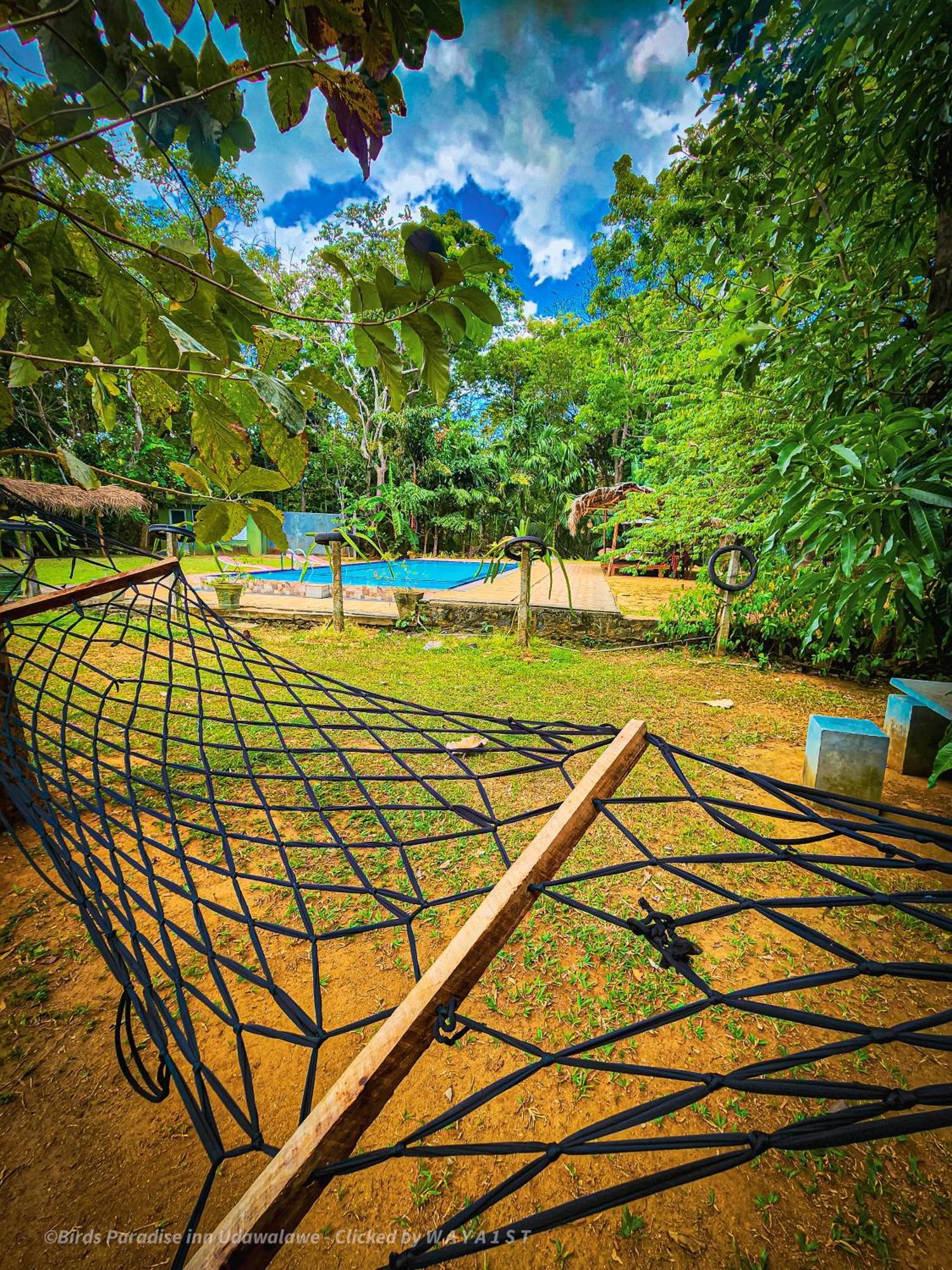 Birds Paradise Inn Udawalawe Bagian luar foto