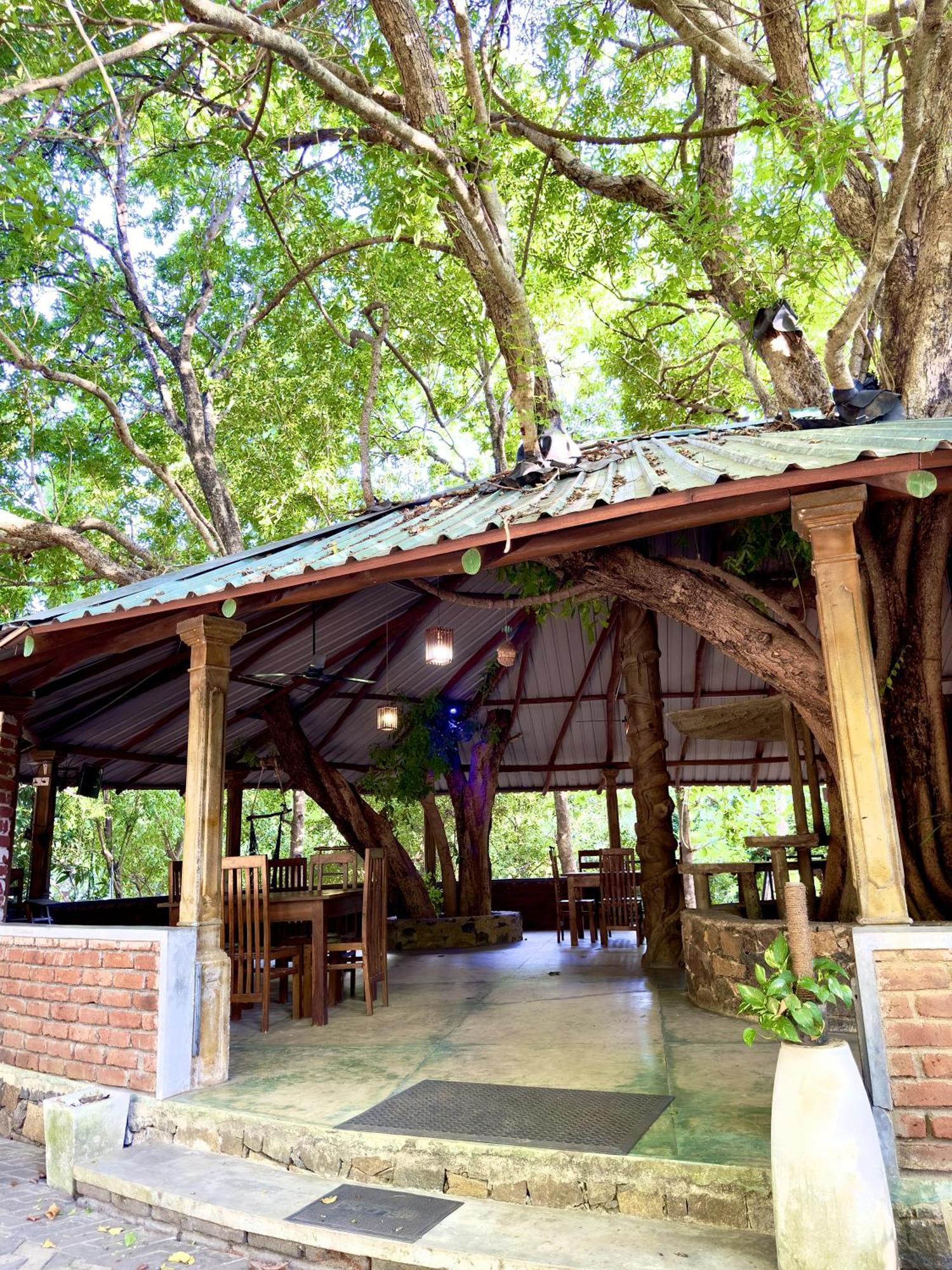 Birds Paradise Inn Udawalawe Bagian luar foto