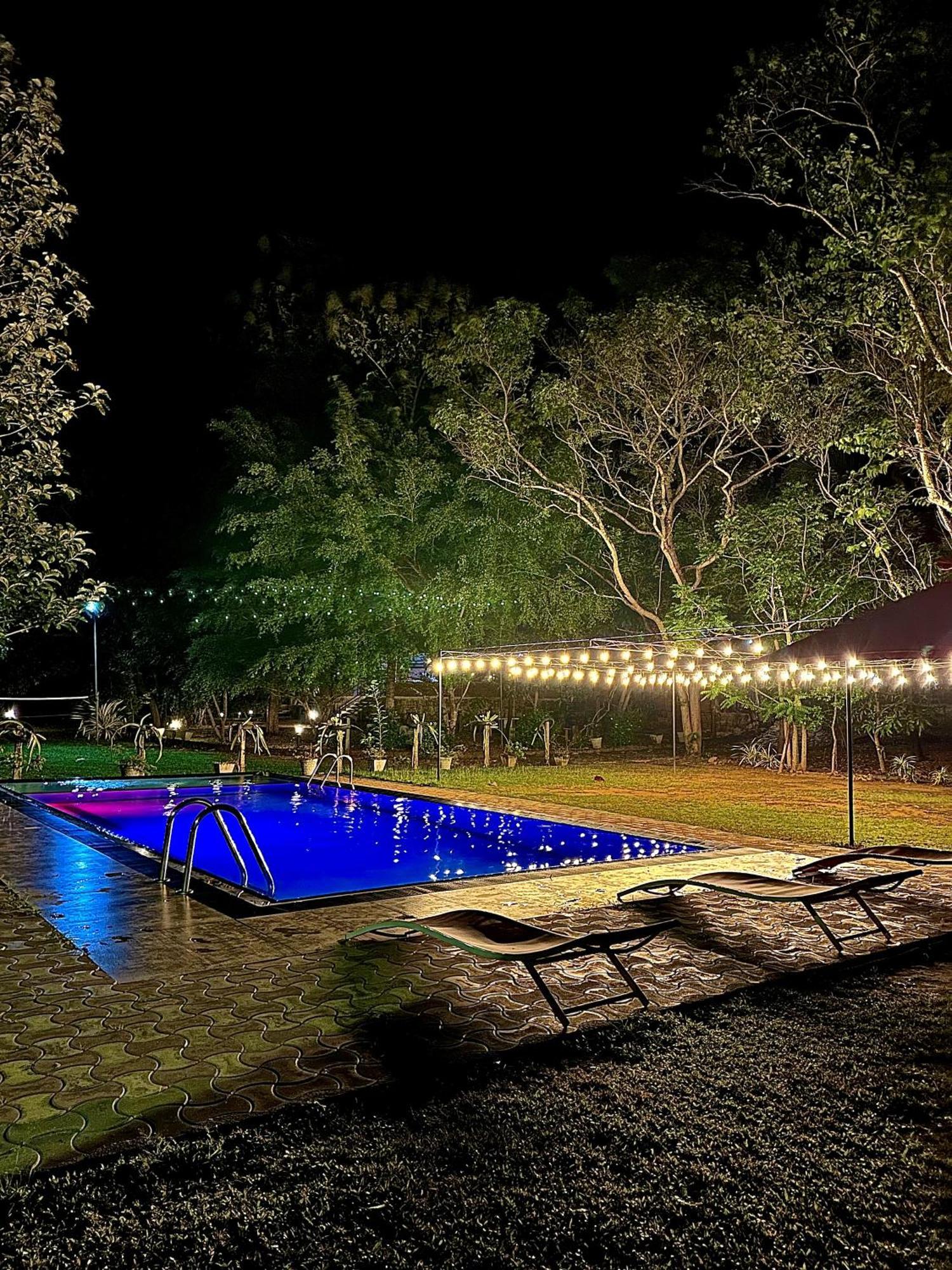 Birds Paradise Inn Udawalawe Bagian luar foto