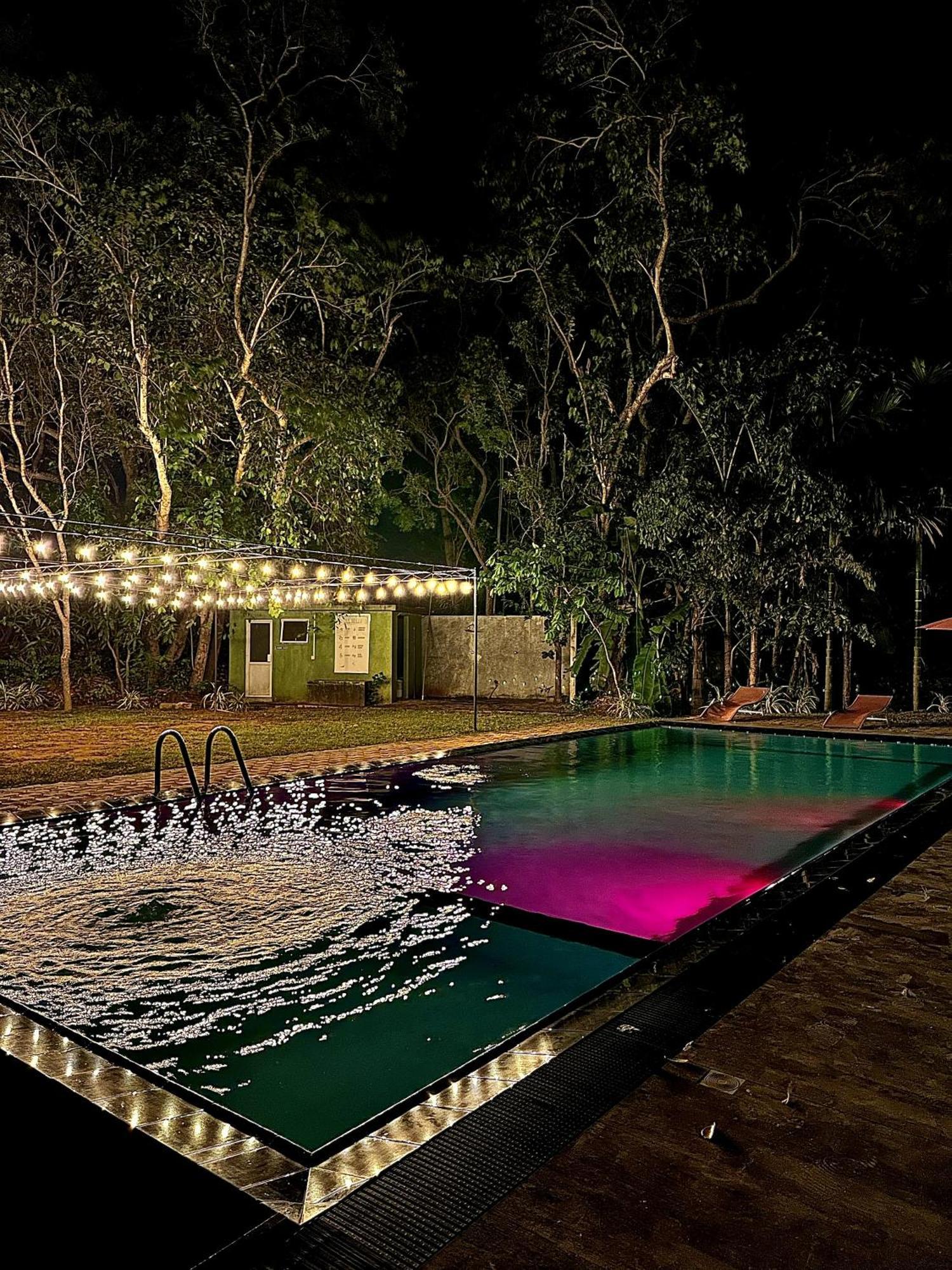 Birds Paradise Inn Udawalawe Bagian luar foto