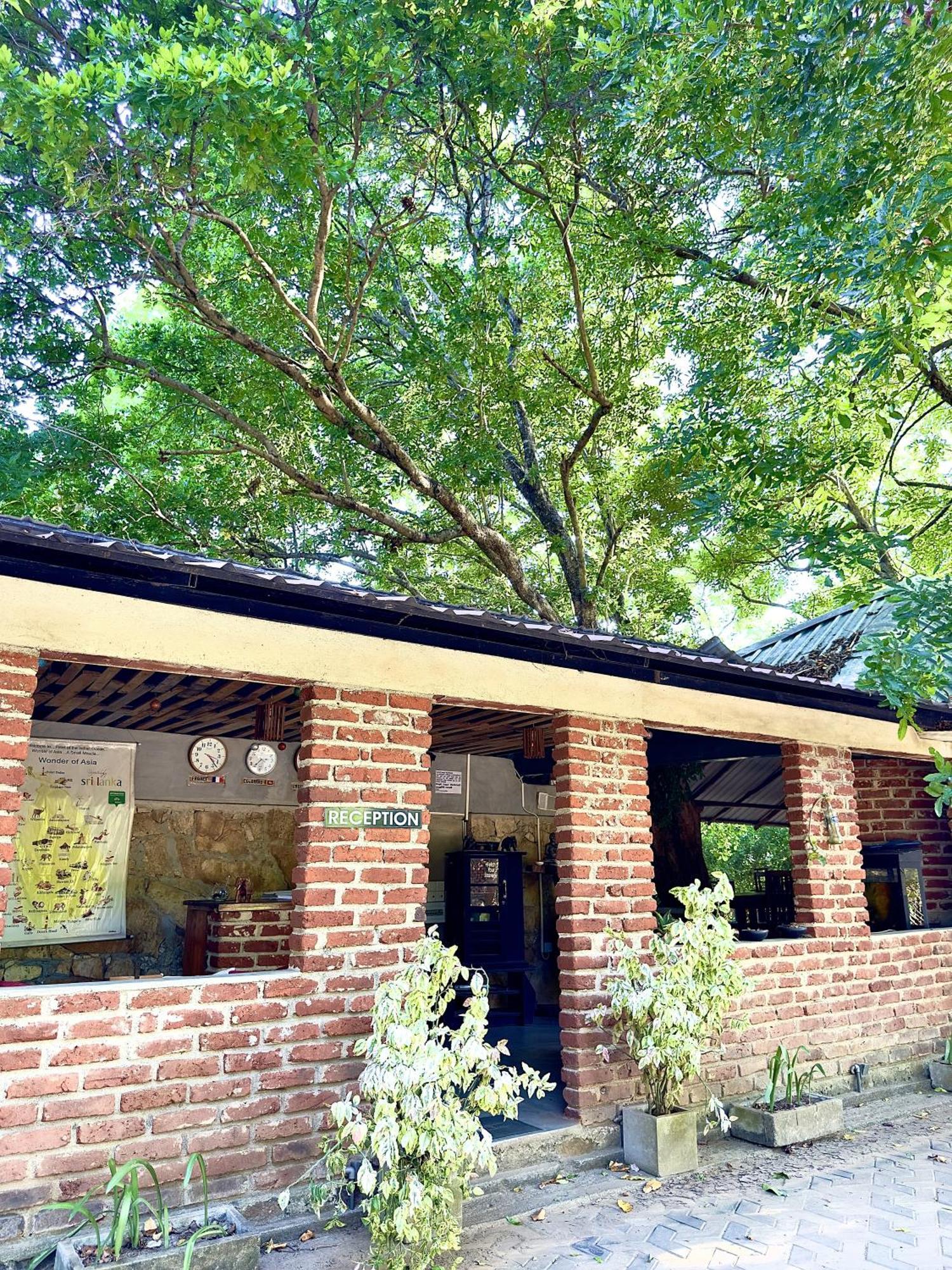 Birds Paradise Inn Udawalawe Bagian luar foto