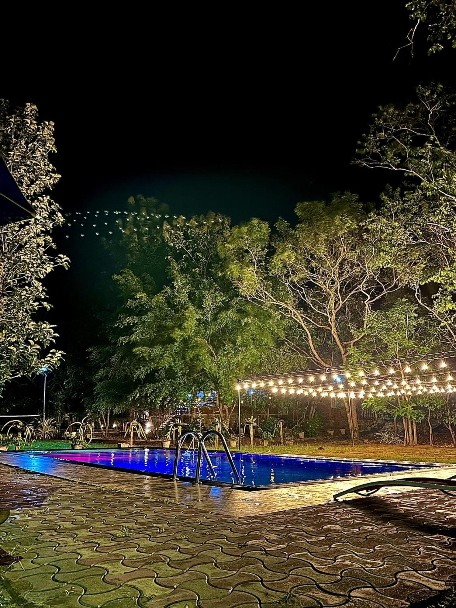 Birds Paradise Inn Udawalawe Bagian luar foto