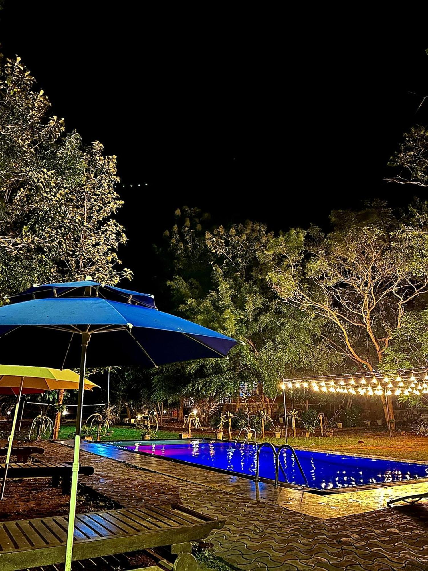 Birds Paradise Inn Udawalawe Bagian luar foto